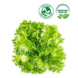  Xà lách Thủy tinh (430-470g/gói) 