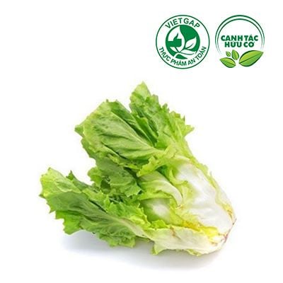  Xà lách carol (400-500g/cây) 