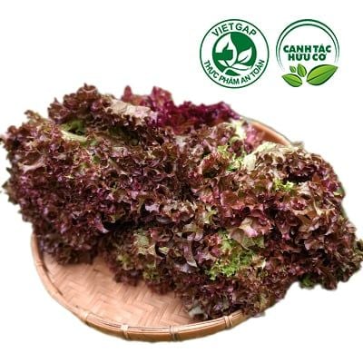  Xà lách Lolo đỏ (200-250g/gói) 