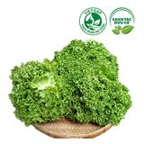  Xà lách Thủy tinh (430-470g/gói) 
