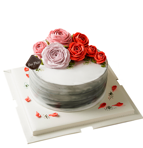  Bánh Kem DPTHHD 002 