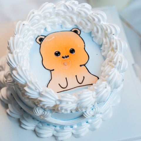  Bánh kem đốt cháy 003 