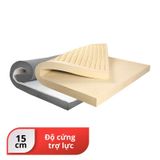  Nệm cao su Felix Support - Độ cứng trợ lực (Cấp độ 2) - 15cm 