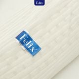  Gối cao su Felix - Gối ôm Hug 