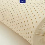  Nệm cao su Felix Comfort - Độ cứng tiêu chuẩn (Cấp độ 1) - 10cm 