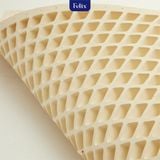  Nệm cao su Felix Support - Độ cứng trợ lực (Cấp độ 2) - 10cm 
