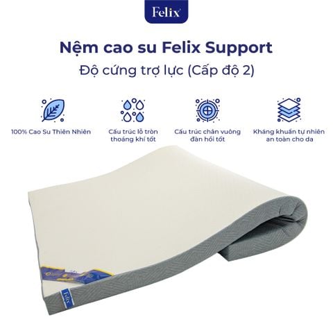  Nệm cao su Felix Support - Độ cứng trợ lực (Cấp độ 2) - 10cm 