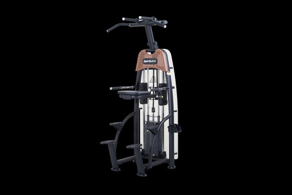 N911 ASSISTED CHIN DIP