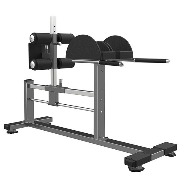FW-2029 Glute Ham Raise