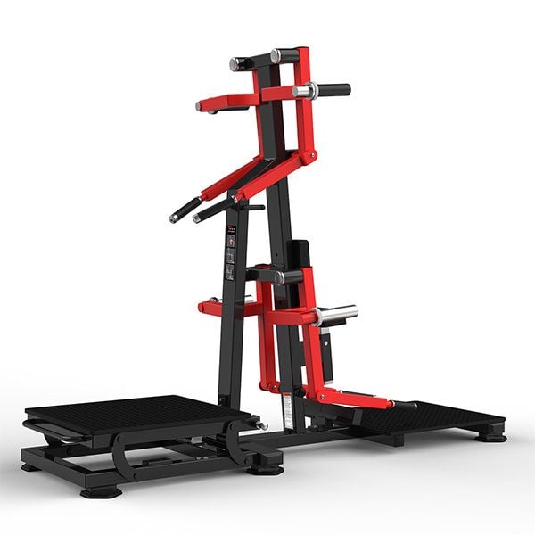 RS-1050 Standing Lateral Raise/ Rear Deltoid