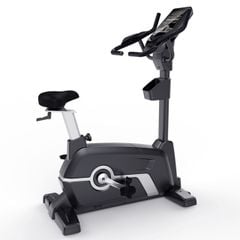 RE-6600U Upright Bike
