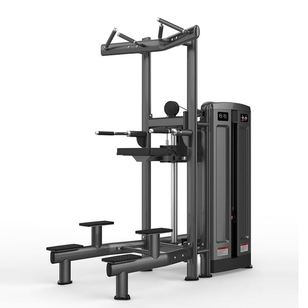 M7 PRO-1010 Chin/Dip Assist