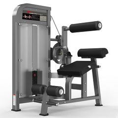 PF-1005 Back Extension / Ab Crunch