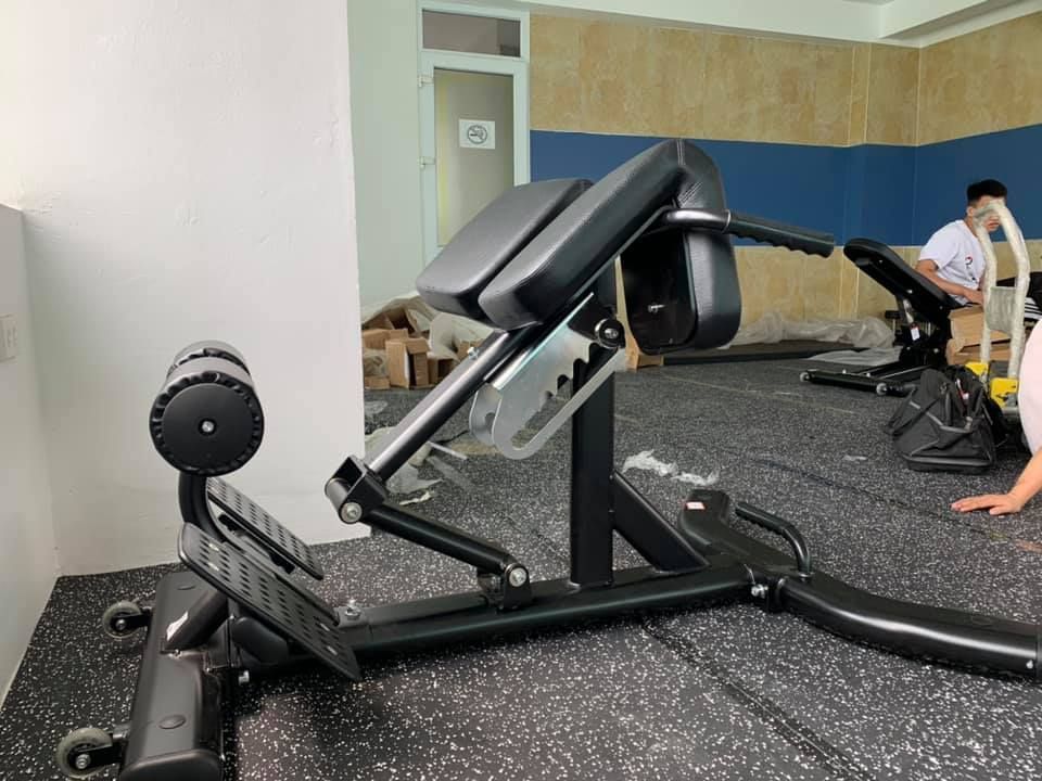 M-026 Back Muscle Workout Roman Chair