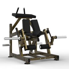 LD-2002 Kneeling Curl