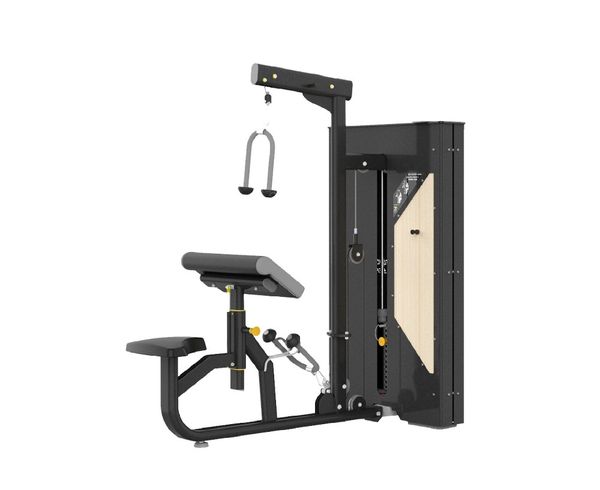 Biceps Curl /Triceps Press