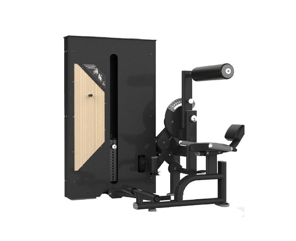 Abdominal/Back Extension