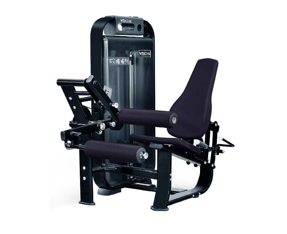 Seated Leg Curl