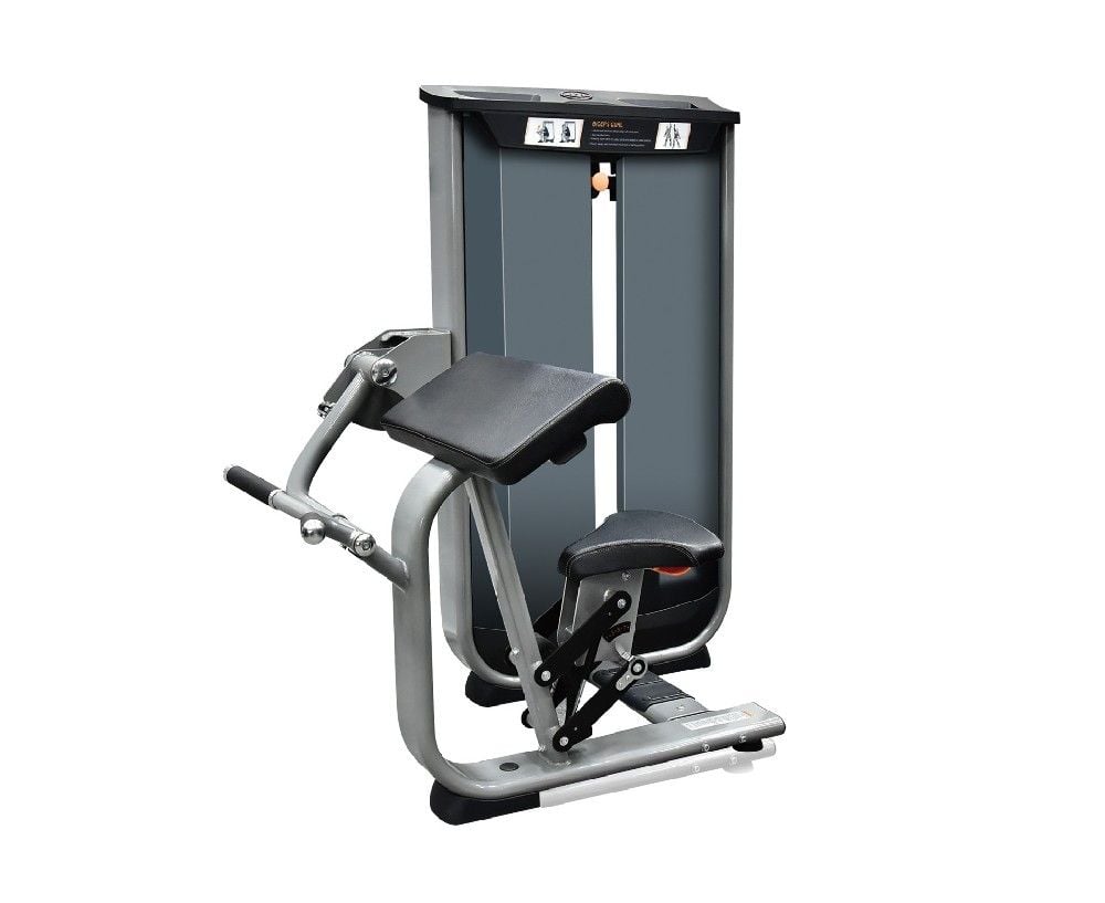 Seated Biceps Curl