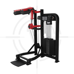 Máy Bắp Chuối︱Stand Calf︱Ham 120