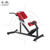 Ghế Duỗi Lưng  ∣ Back Extension ∣ VN-HAM 107