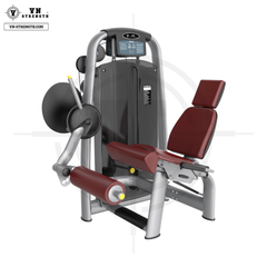 Máy Đá Chân ∣ Leg Extension ∣ VN-TEC 017