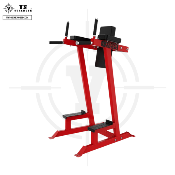 Ghế Gập Bụng, Tay Sau ∣ Vertical Knee Raise/Dip Station ∣ VN-ARS 028