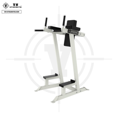 Ghế Gập Bụng, Tay Sau︱Vertical Knee Raise/Dip Station︱VN-ARS 043