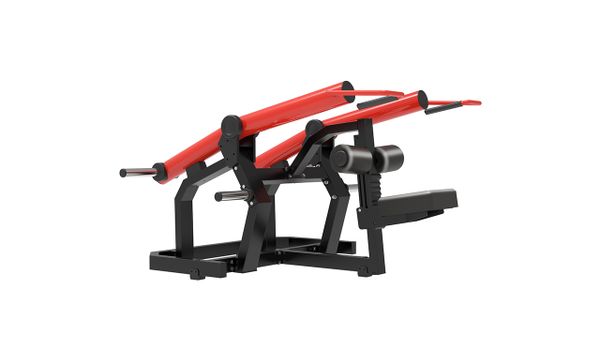 TG60 Triceps