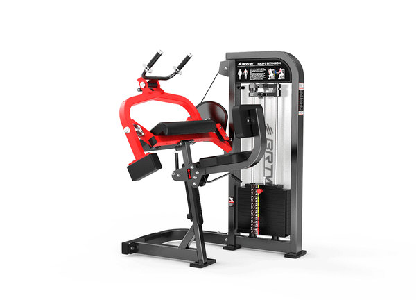HS10 TRICEPS EXTENSION