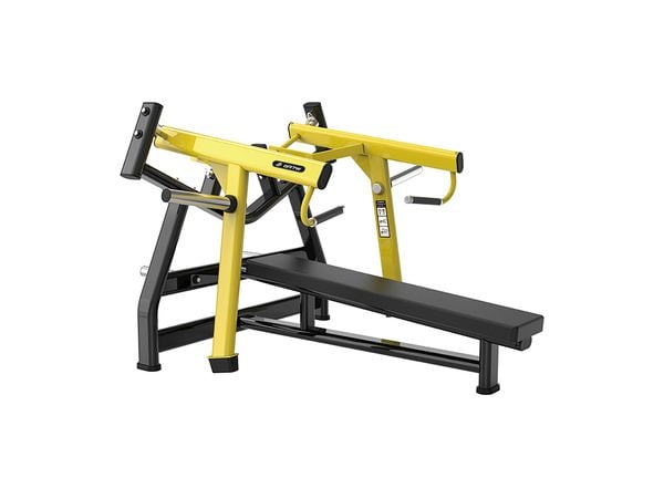 TN28 Laydown chest press