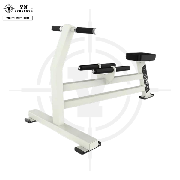 Ghế Kéo Lưng Ngang ∣ Dumbbell/Row Kickback Bench ∣ VN-ARS 056