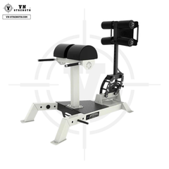 Ghế Duỗi Lưng, Gập Bụng ∣ Glute/Ham Developer ∣ VN-ARS 054