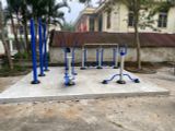 TT017 I  MÁY TẬP XOAY EO