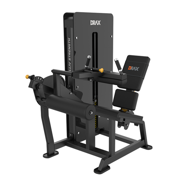 SEATED LEG CURL