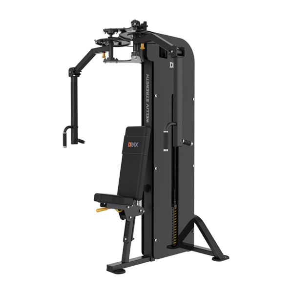 PEC FLY & REAR DELT