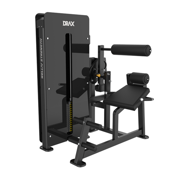 BACK EXTENSION