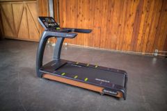 T676 TREADMILL