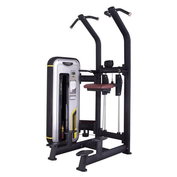 Bady Building Strength Equipment Gym Equipment Assist Dip Chin BN-008