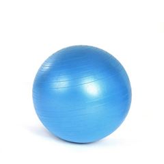 Balance Training Yoga Ball