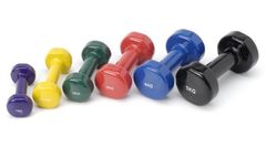 Bright Surface Vinyl Dumbbell Sets