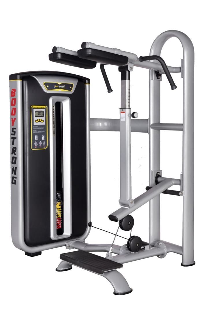 China Wholesale Commercial Fitness Equipment BS-017 Standing Calf