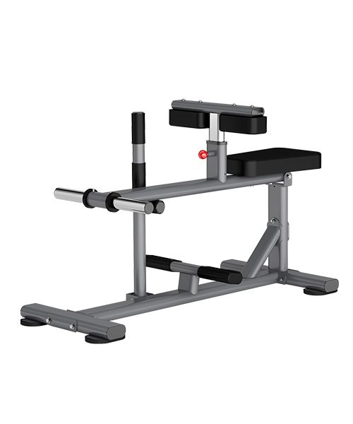 SEATED CALF RAISE