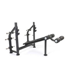 Gym Decline Bench