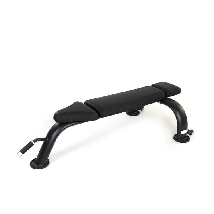 Gym Dumbbell Flat Bench