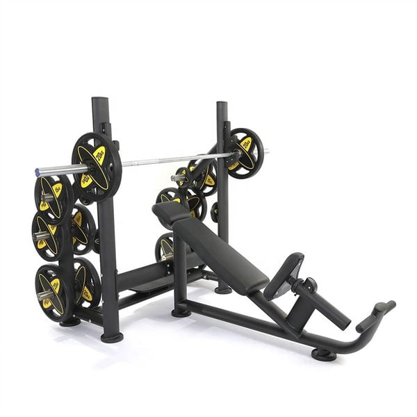 Gym Incline Bench