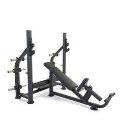 Gym Incline Bench