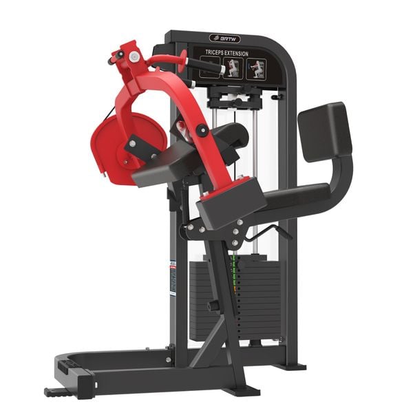 HS10 TRICEPS EXTENSION