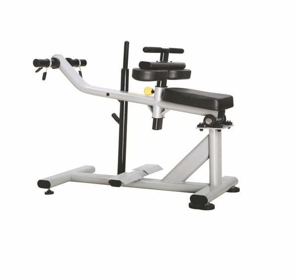 Indoor Fitness Seated Calf Machine J-029