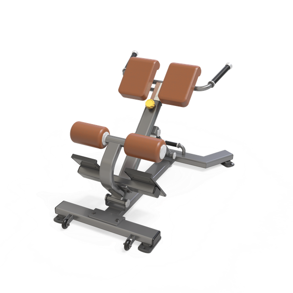 Back Extension